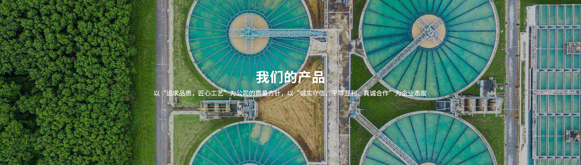 衛生級焊接式止回閥